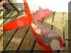 PICT0858.JPG (742589 byte)