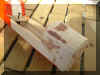 PICT0859.JPG (748496 byte)