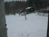 Snow.jpg (28521 byte)